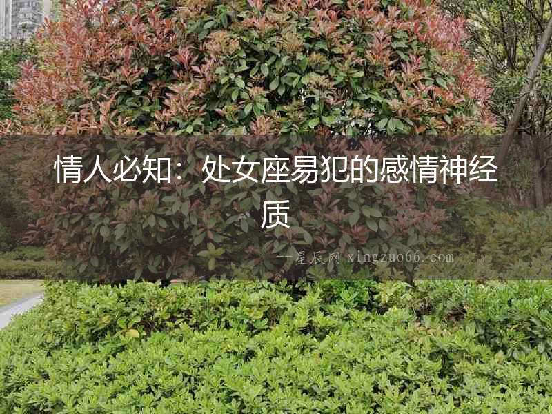 情人必知：處女座易犯的感情神經質