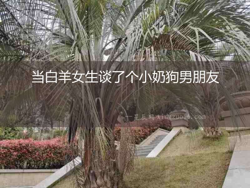 當(dāng)白羊女生談了個(gè)小奶狗男朋友