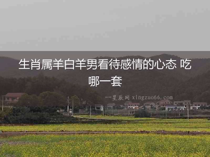 生肖屬羊白羊男看待感情的心態 吃哪一套
