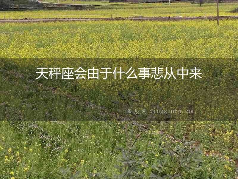 天秤座會由于什么事悲從中來
