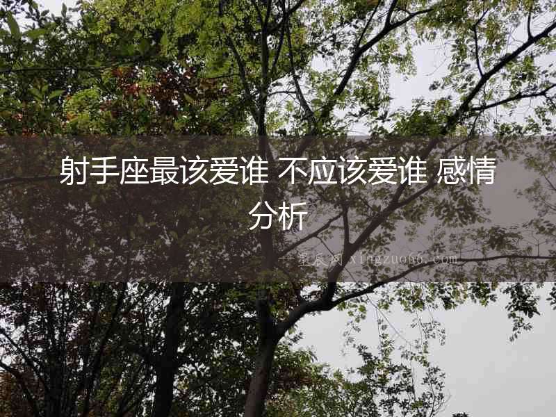 射手座最該愛誰 不應該愛誰 感情分析