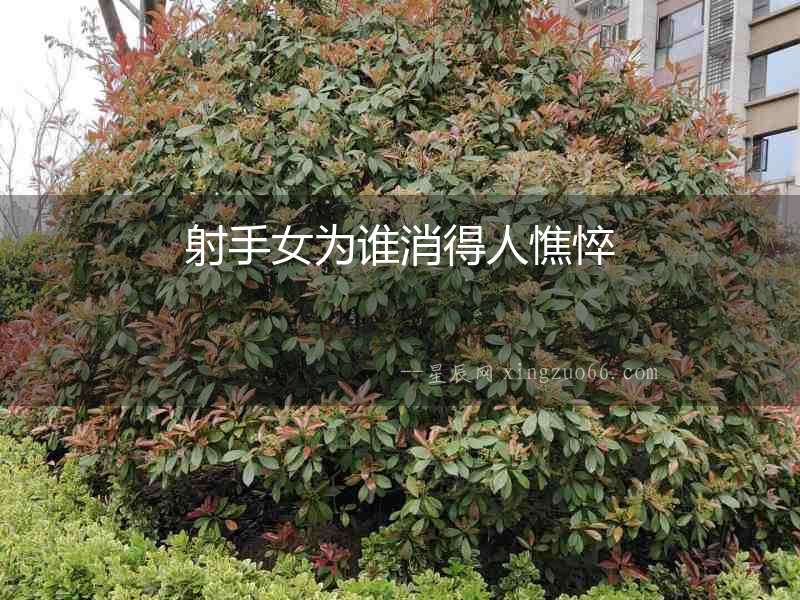射手女為誰消得人憔悴