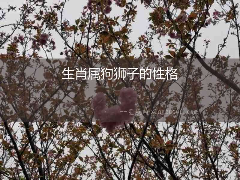 生肖屬狗獅子的性格