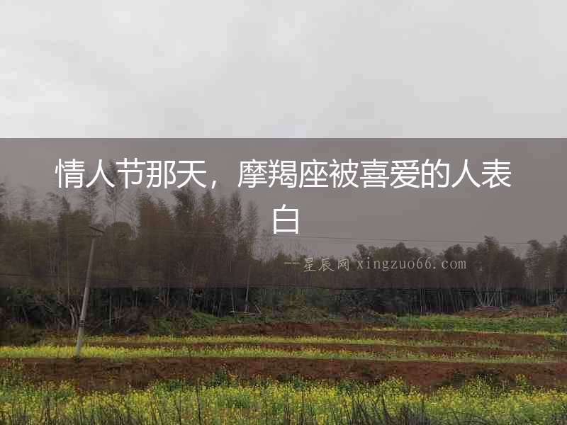情人節那天，摩羯座被喜愛的人表白