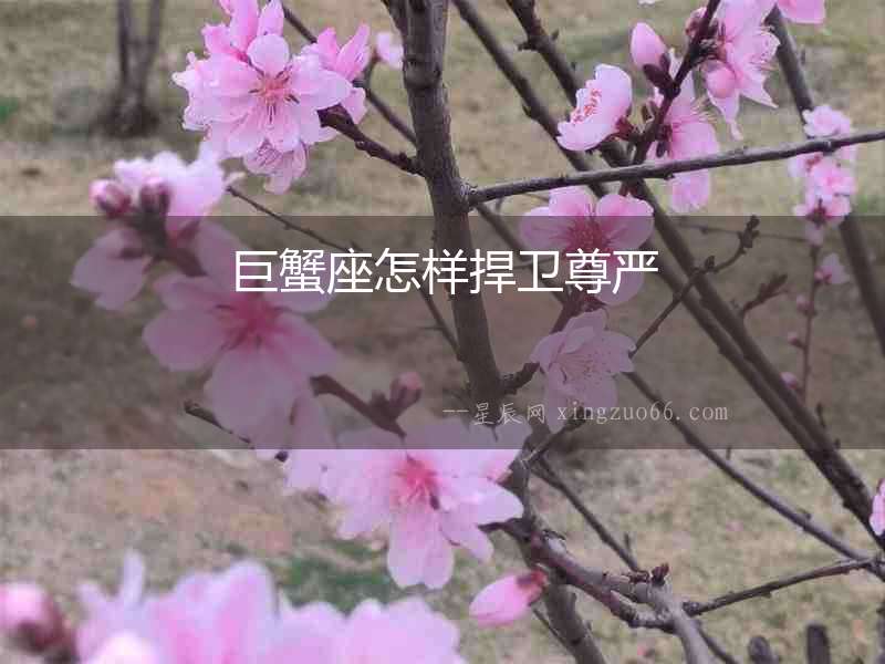 巨蟹座怎樣捍衛尊嚴