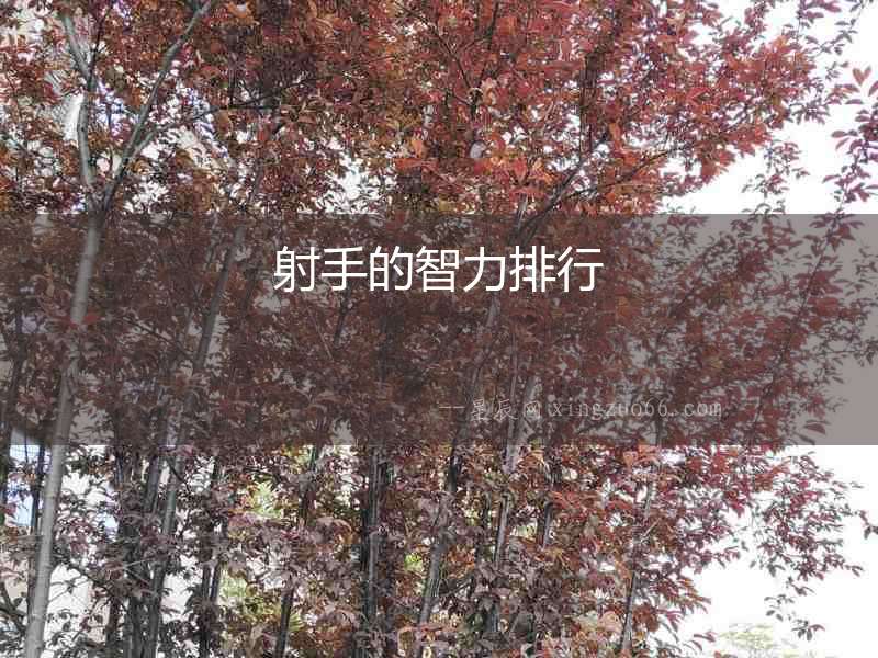 射手的智力排行