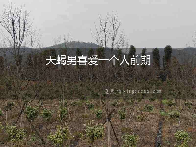 天蝎男喜愛一個(gè)人前期