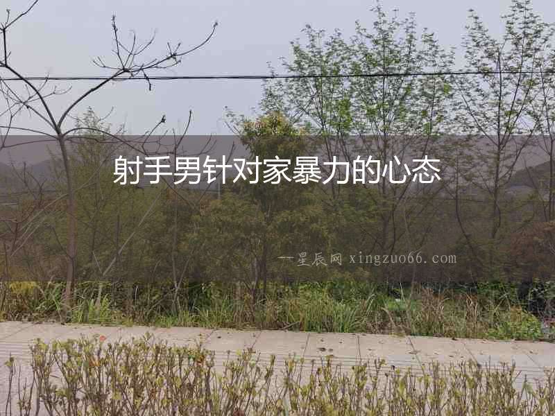 射手男針對家暴力的心態(tài)
