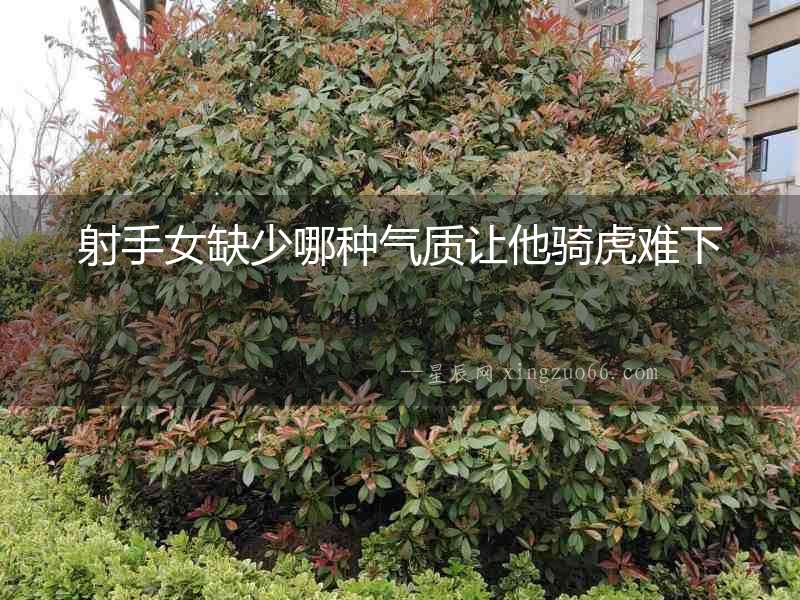 射手女缺少哪種氣質讓他騎虎難下