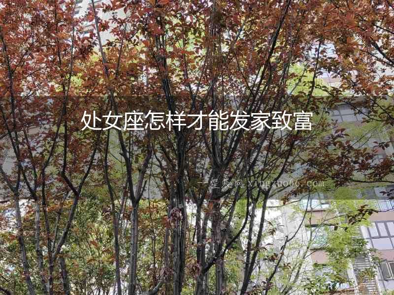 處女座怎樣才能發(fā)家致富