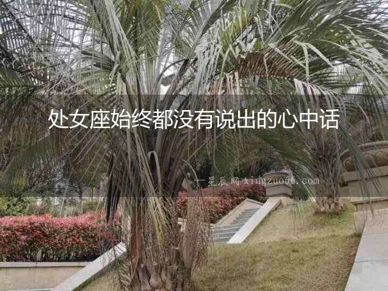 處女座始終都沒有說出的心中話