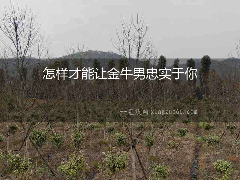 怎樣才能讓金牛男忠實于你