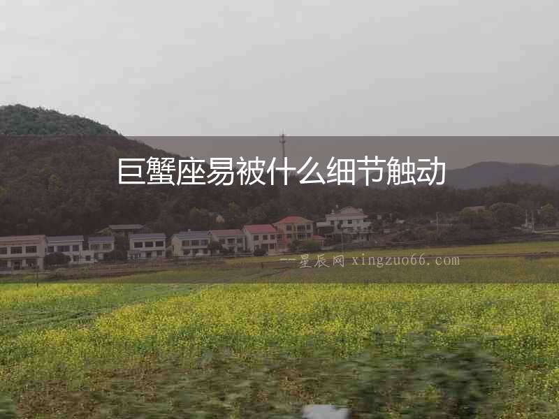 巨蟹座易被什么細(xì)節(jié)觸動