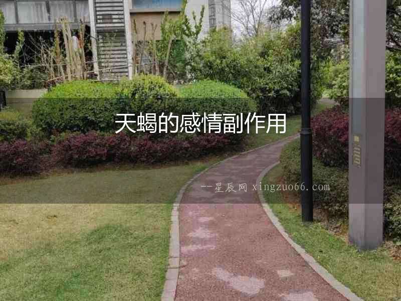 天蝎的感情副作用