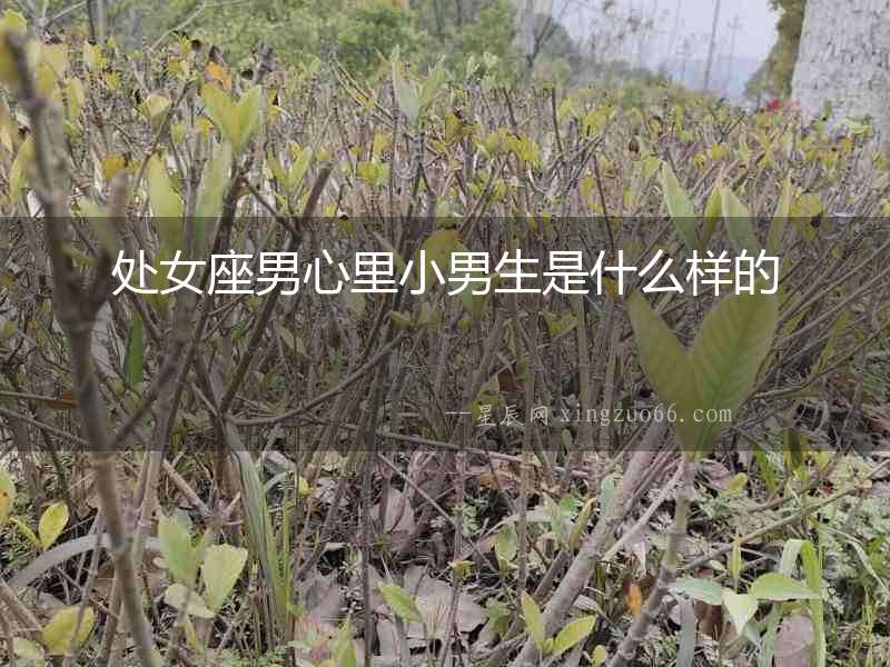 處女座男心里小男生是什么樣的