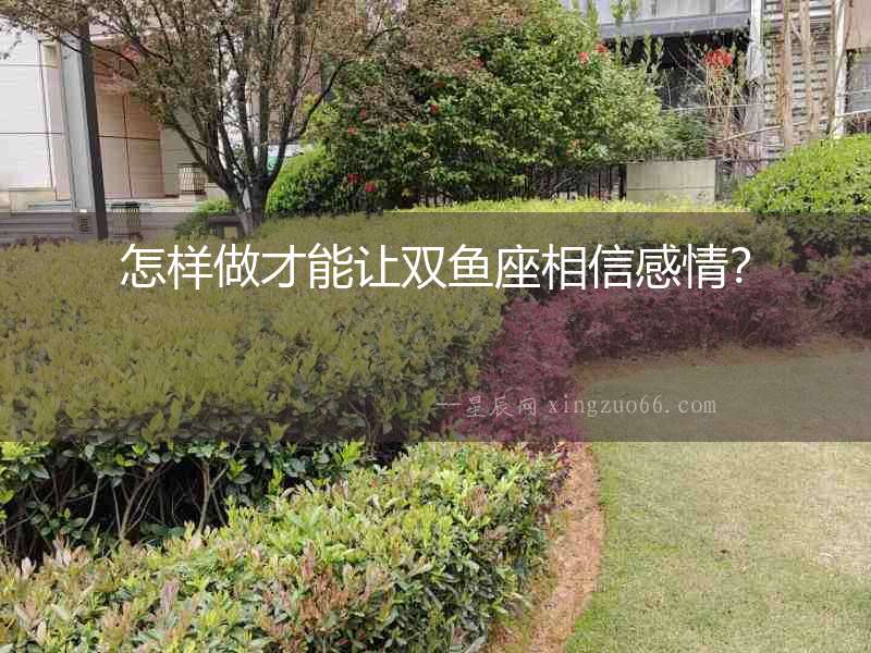 怎樣做才能讓雙魚座相信感情？