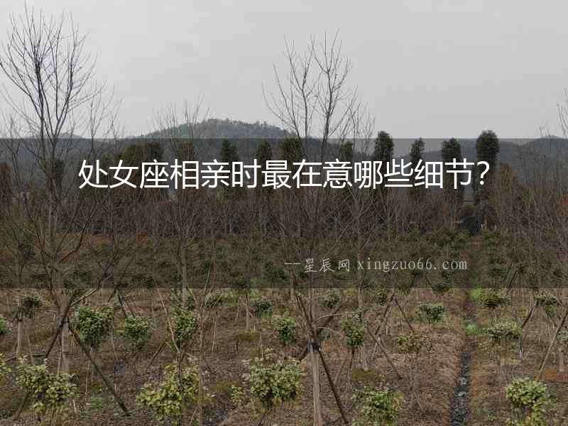 處女座相親時最在意哪些細節？