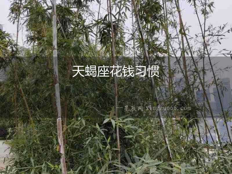 天蝎座花錢習(xí)慣