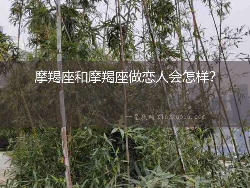 摩羯座和摩羯座做戀人會怎樣？