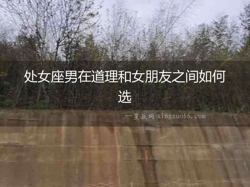 處女座男在道理和女朋友之間如何選