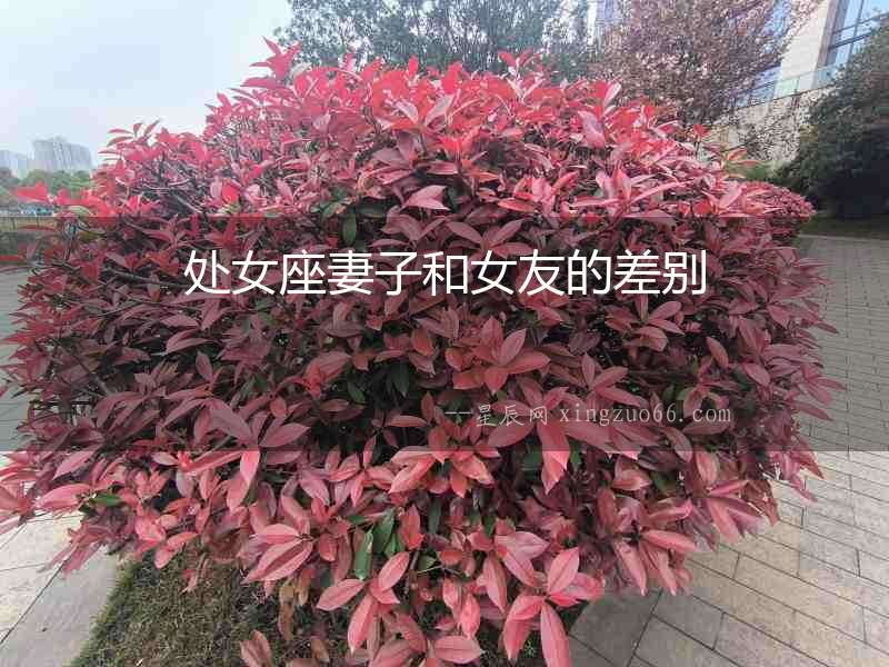 處女座妻子和女友的差別