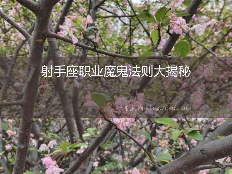 射手座職業魔鬼法則大揭秘