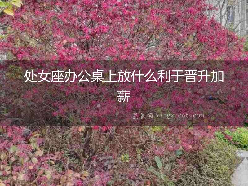 處女座辦公桌上放什么利于晉升加薪