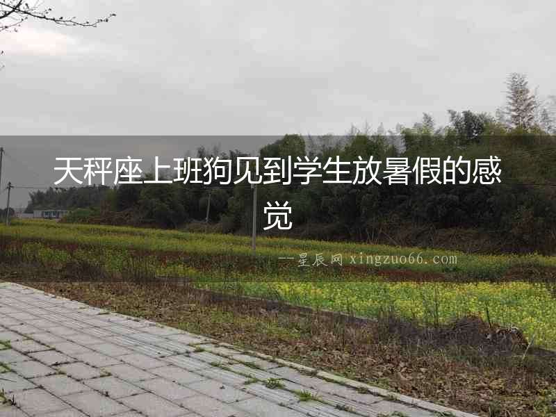 天秤座上班狗見(jiàn)到學(xué)生放暑假的感覺(jué)