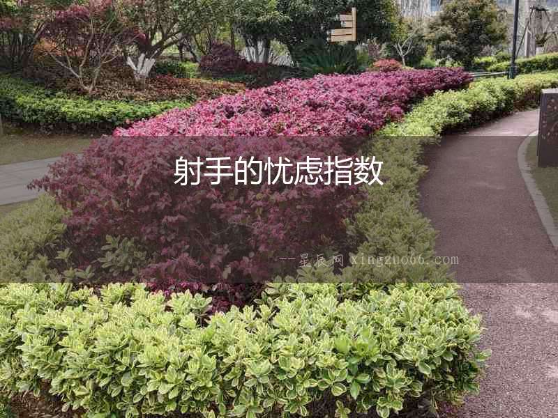射手的憂慮指數