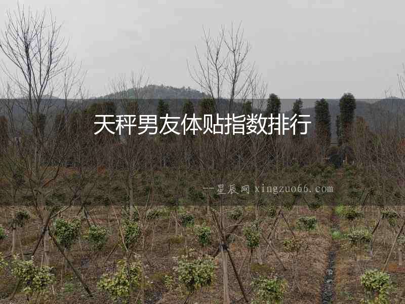 天秤男友體貼指數排行