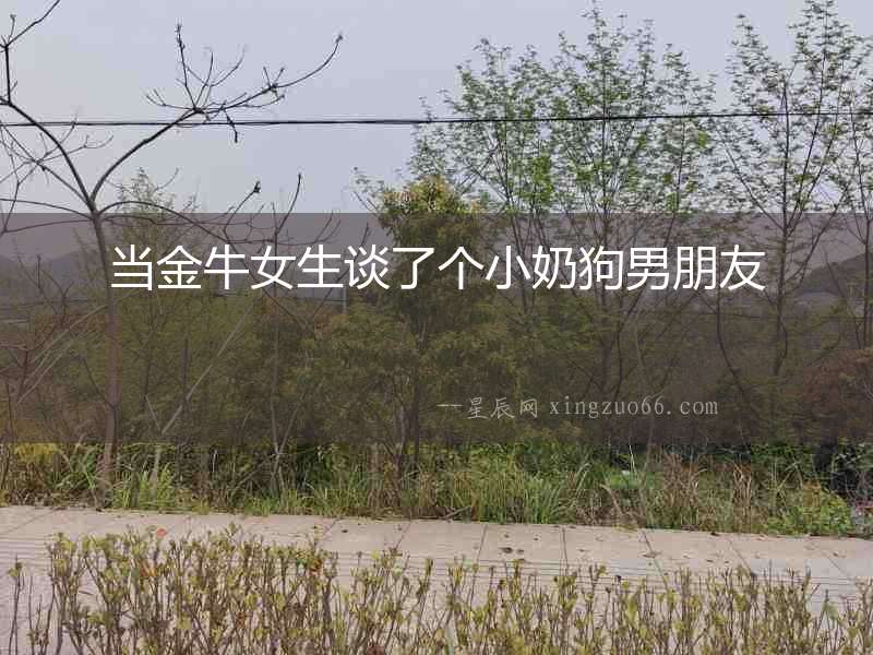 當金牛女生談了個小奶狗男朋友