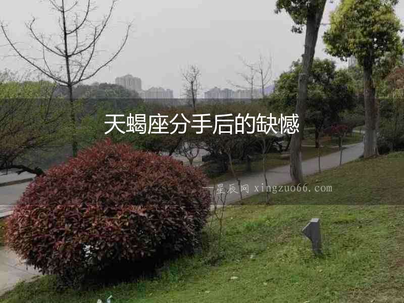 天蝎座分手后的缺憾