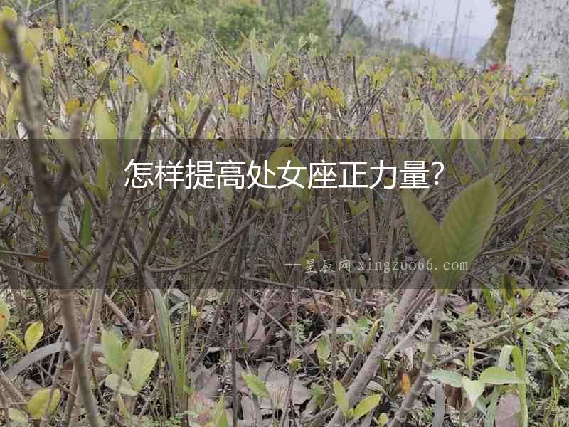 怎樣提高處女座正力量？