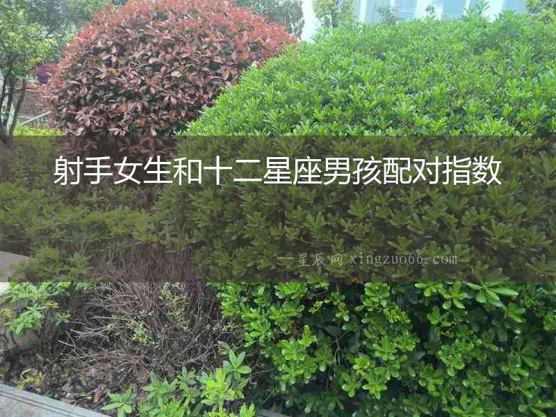 射手女生和十二星座男孩配對(duì)指數(shù)