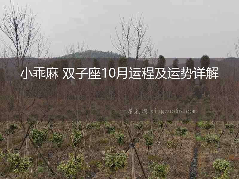 小乖麻 雙子座10月運(yùn)程及運(yùn)勢(shì)詳解