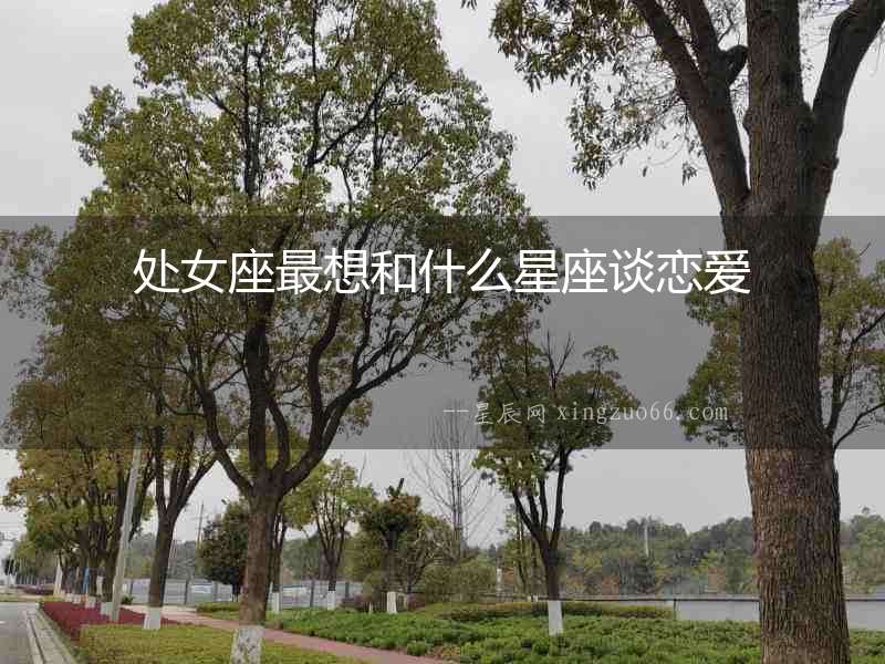 處女座最想和什么星座談戀愛
