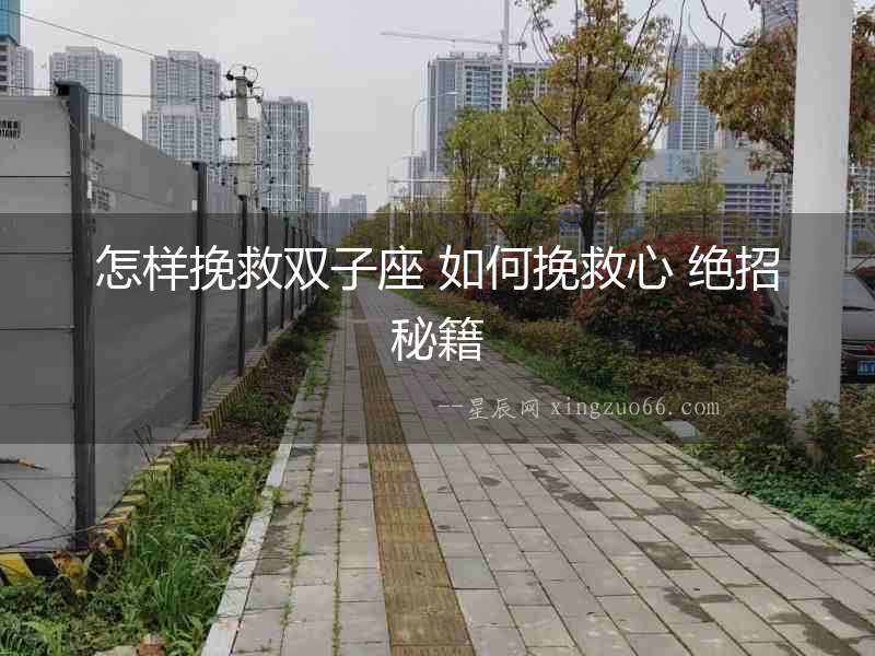 怎樣挽救雙子座 如何挽救心 絕招秘籍