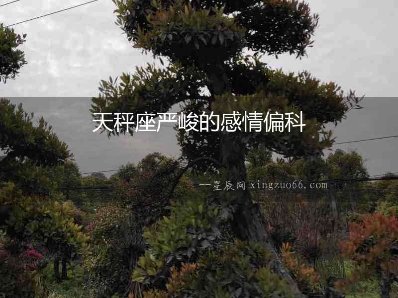 天秤座嚴峻的感情偏科