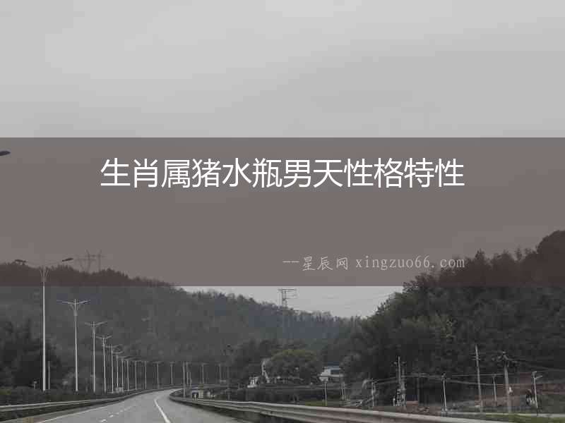 生肖屬豬水瓶男天性格特性