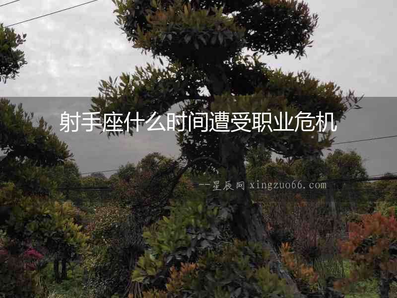 射手座什么時間遭受職業危機