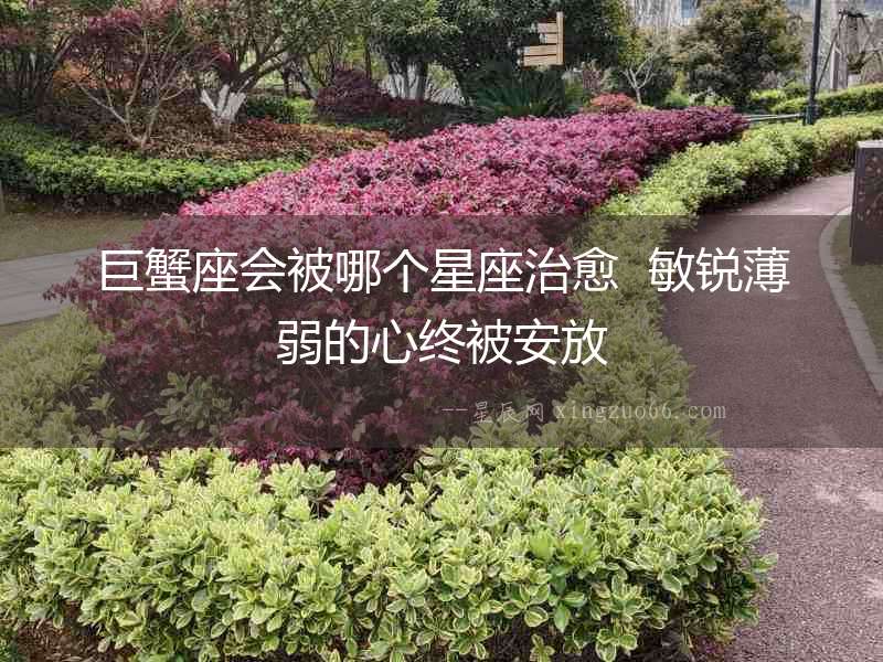 巨蟹座會被哪個星座治愈  敏銳薄弱的心終被安放