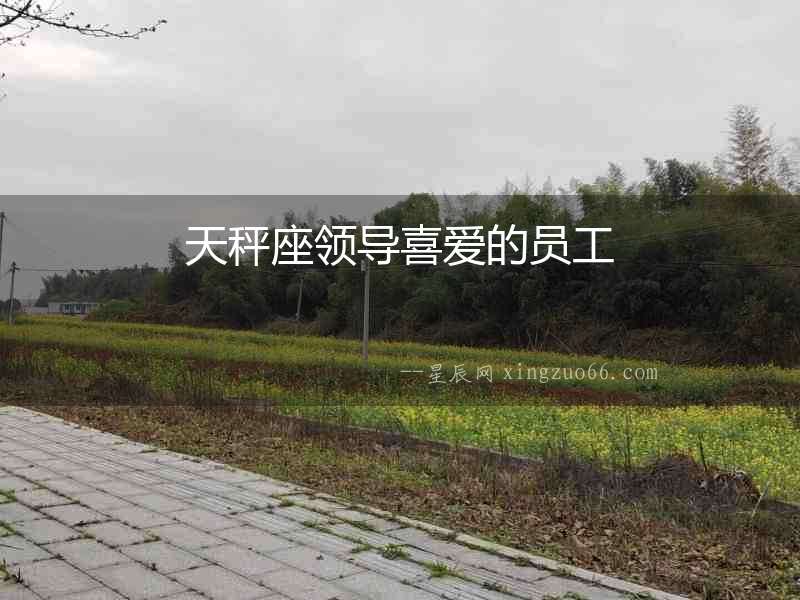 天秤座領導喜愛的員工