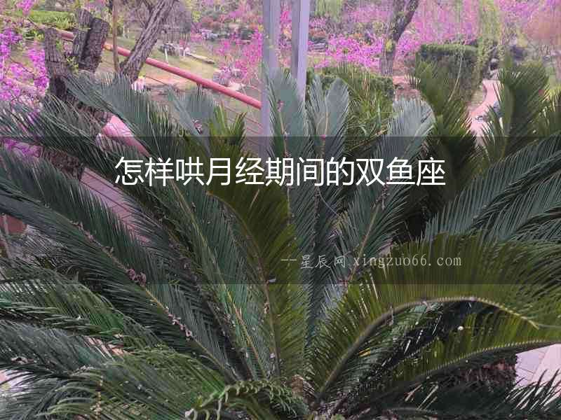 怎樣哄月經(jīng)期間的雙魚座