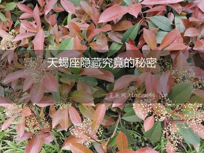 天蝎座隱藏究竟的秘密