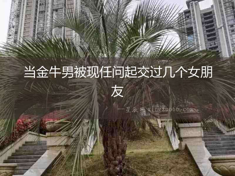 當金牛男被現任問起交過幾個女朋友