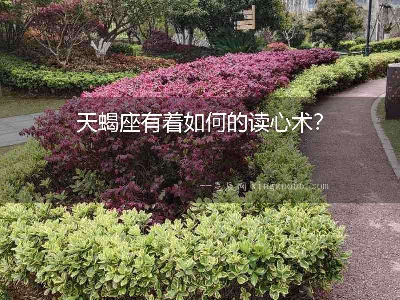 天蝎座有著如何的讀心術？