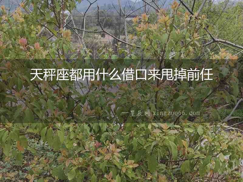 天秤座都用什么借口來甩掉前任