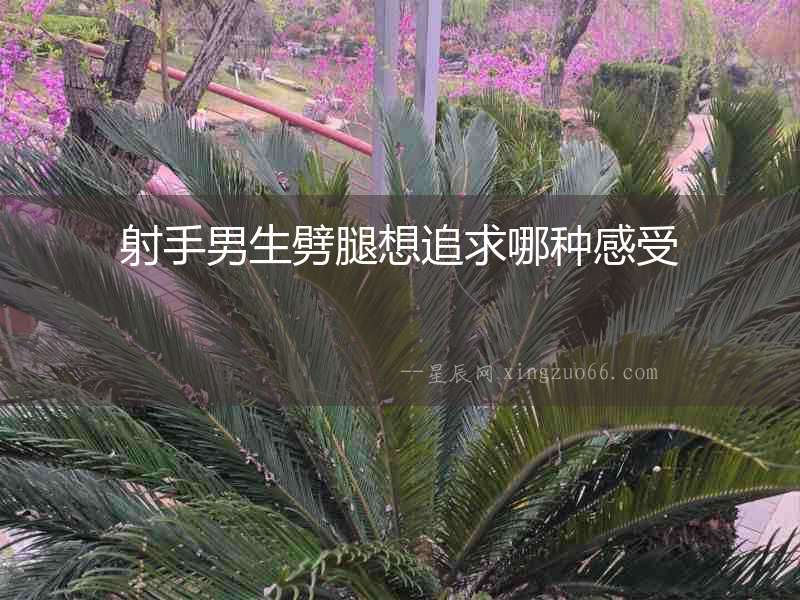 射手男生劈腿想追求哪種感受