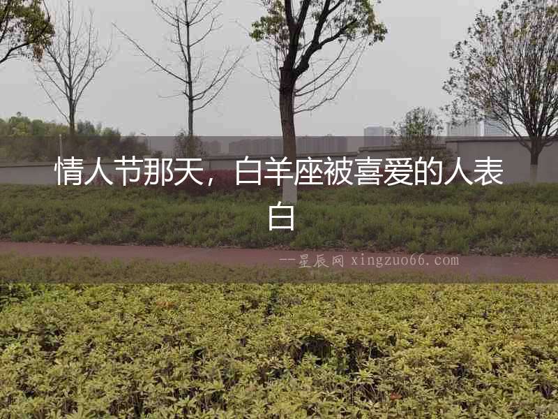 情人節(jié)那天，白羊座被喜愛的人表白