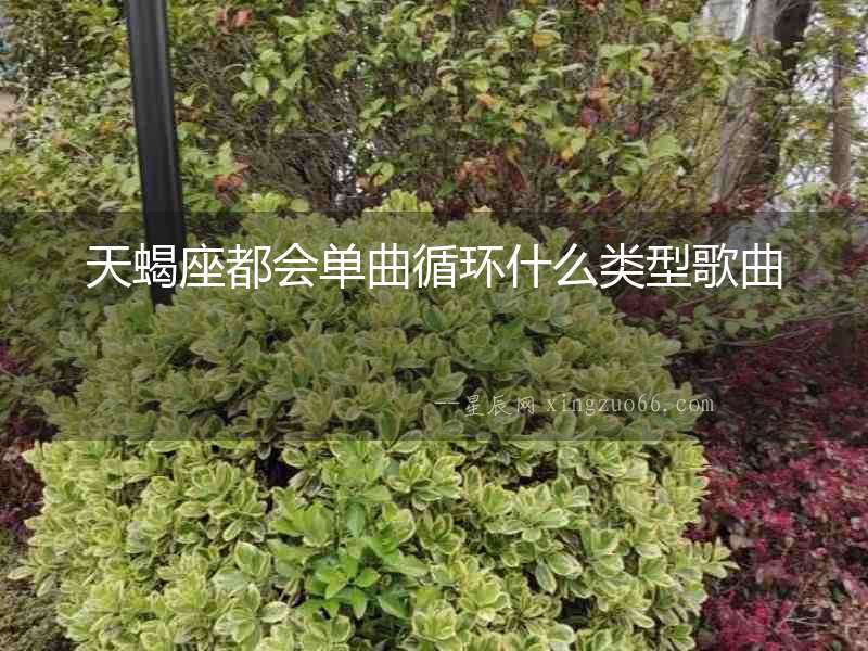 天蝎座都會單曲循環什么類型歌曲